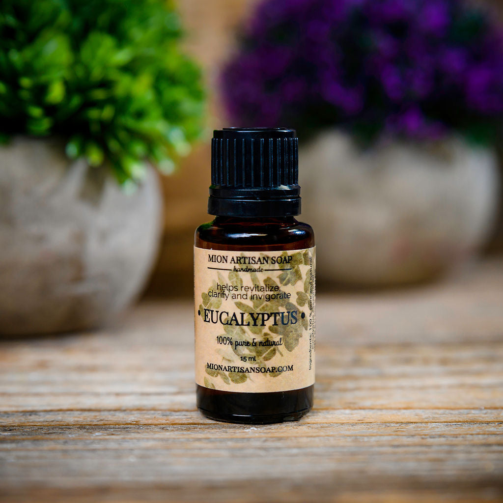 Eucalyptus Essential Oil | Respiratory Support, Cleansing