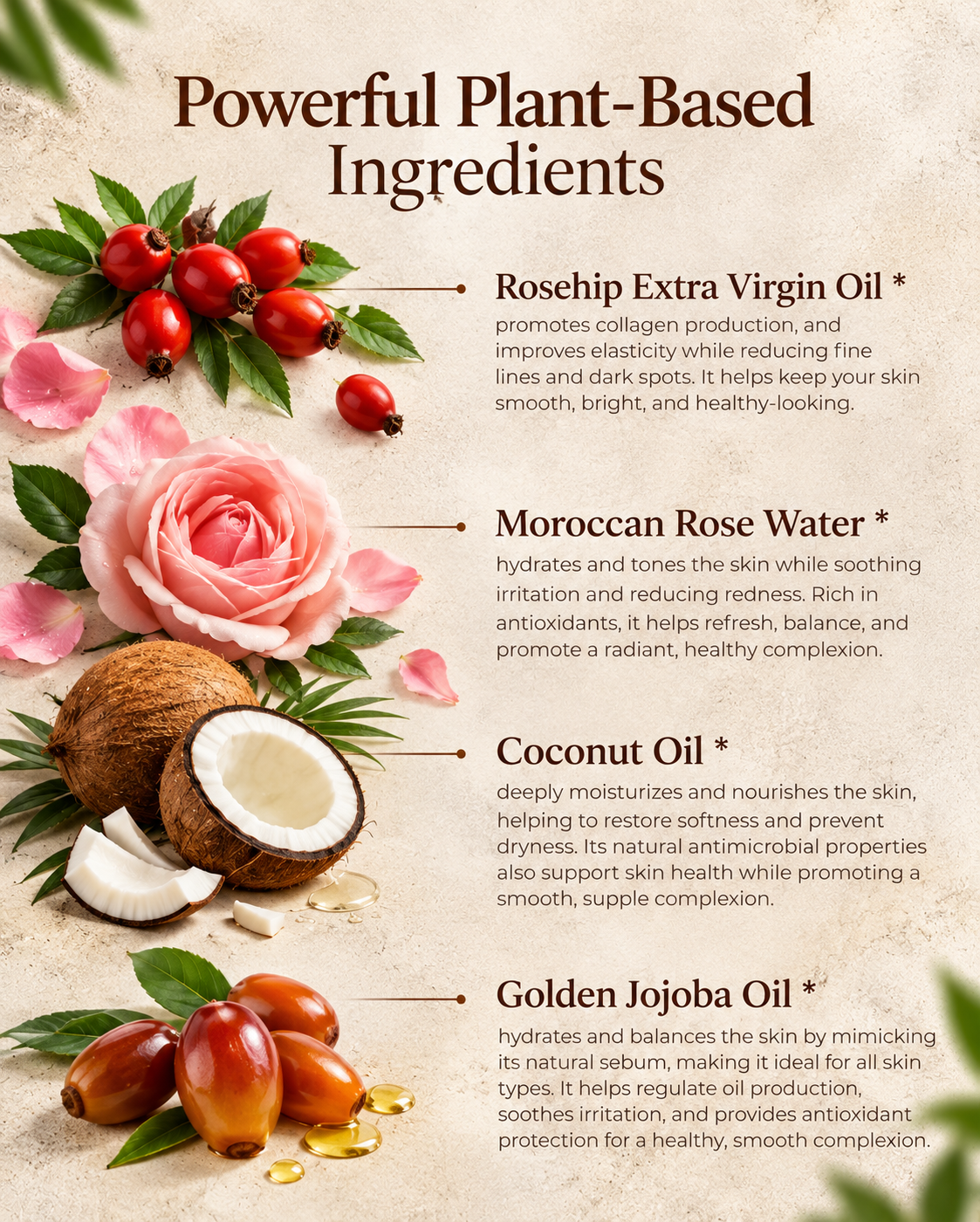Rosehip Anti-Wrinkle Face Cream | Light Texture | Rich in Vitamins A & C