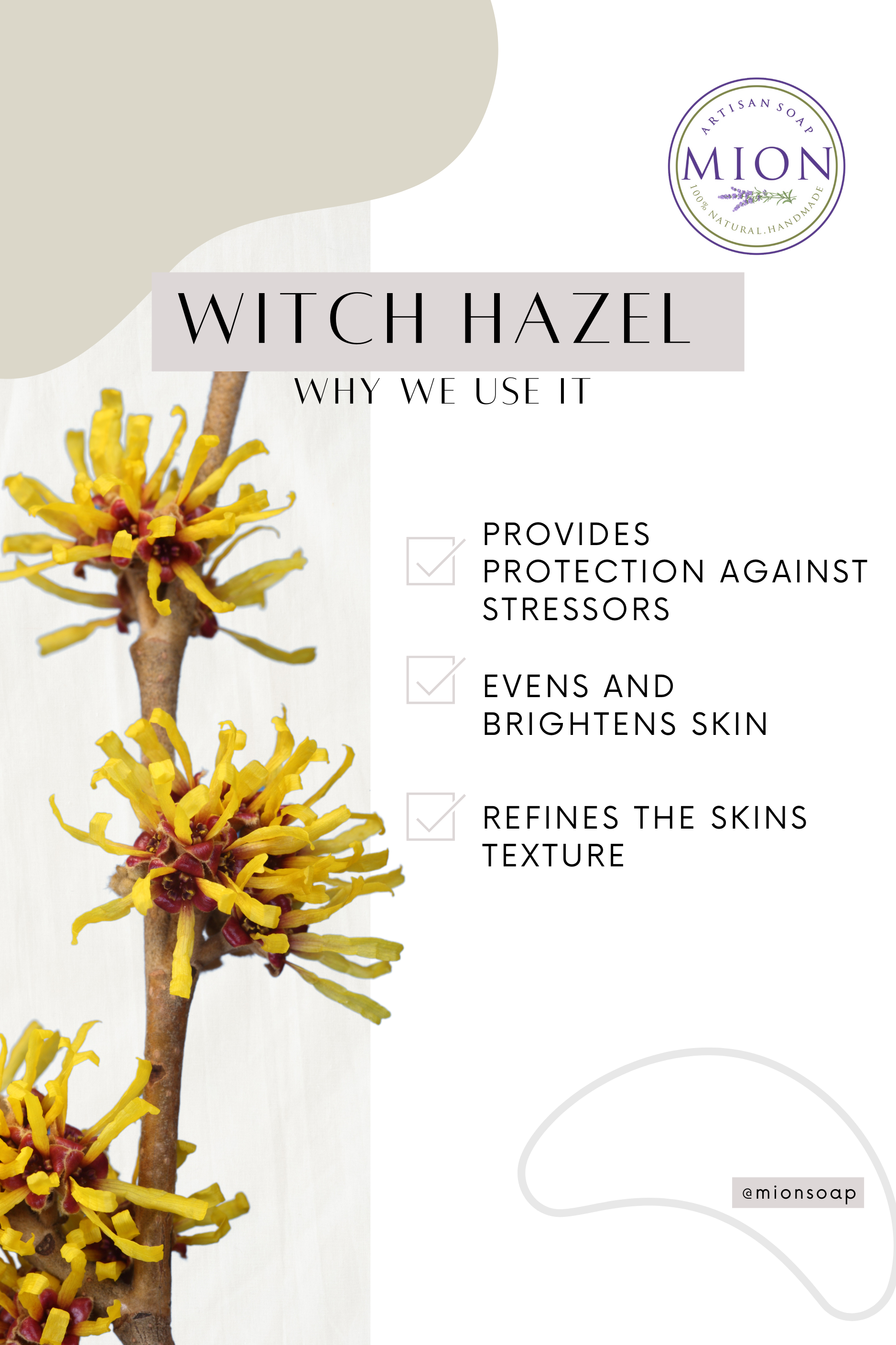 Face Toner | Correcting & Balancing pH