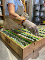 Lavender and Rosemary | Aloe Butter Soap