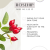 Rosehip Anti-Wrinkle Face Cream | Light Texture | Rich in Vitamins A & C