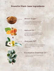 Eucalyptus and Lemon Sugar Scrub | Gentle