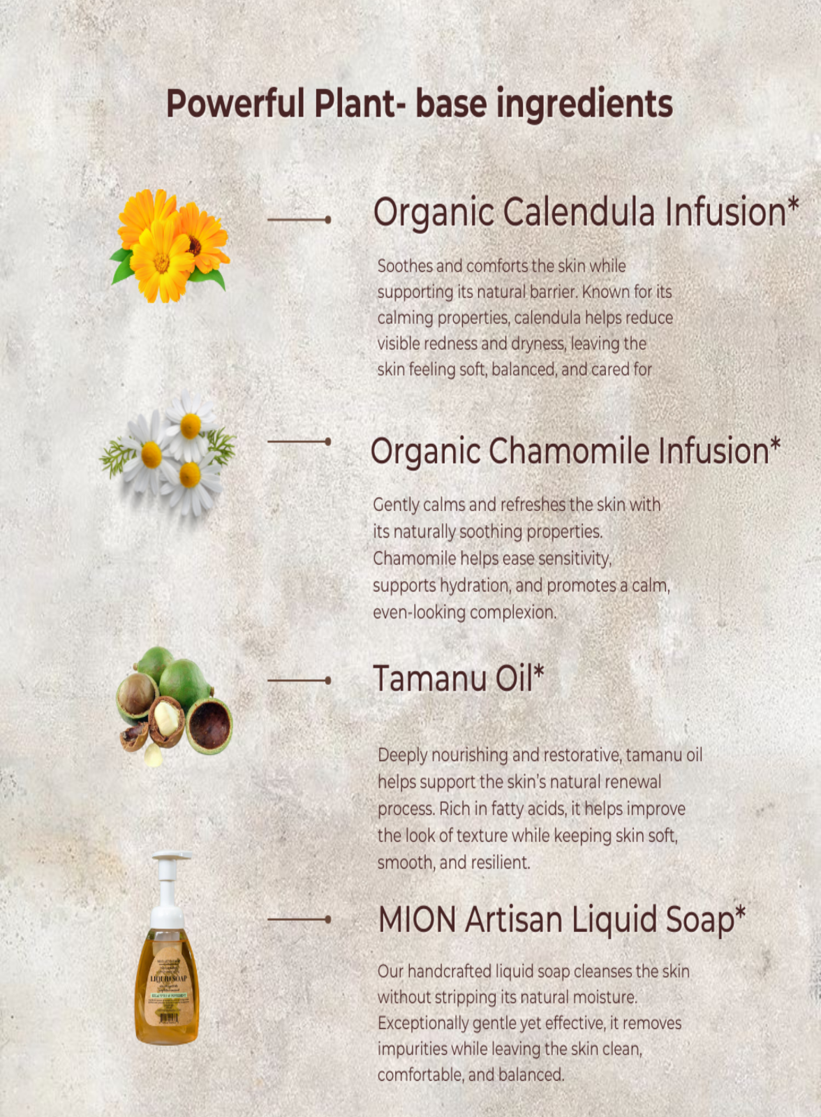 Face Wash | with Rose Hip and Tamanu Oils