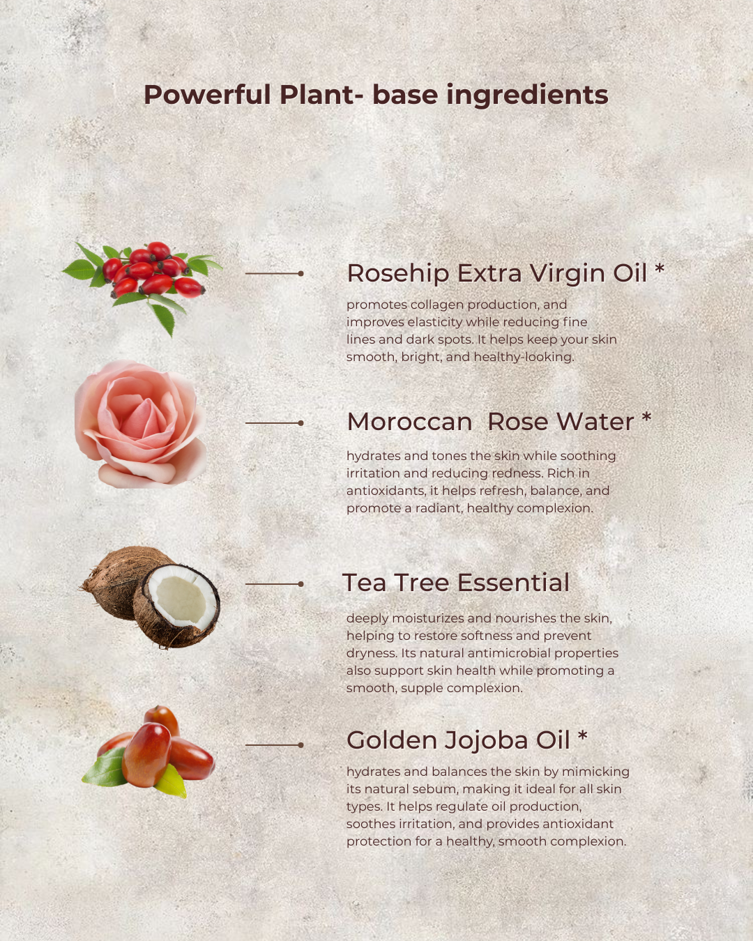 Rosehip Anti-Wrinkle Face Cream | Light Texture | Rich in Vitamins A & C