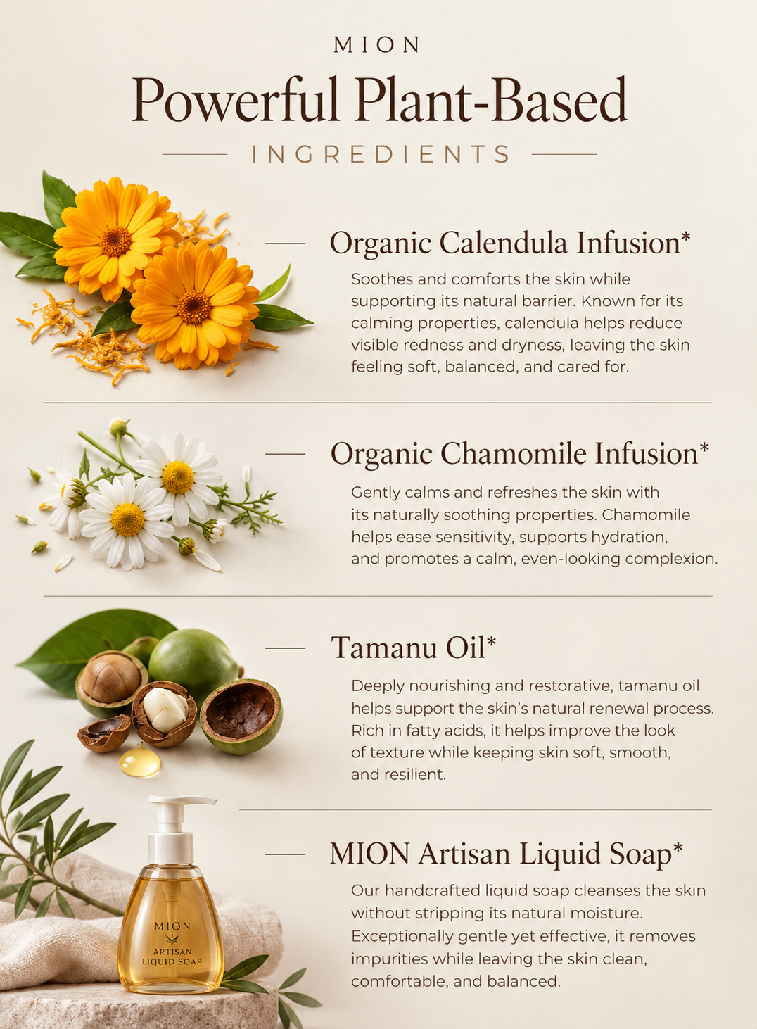 Face Wash Refill | with Rose Hip and Tamanu Oils