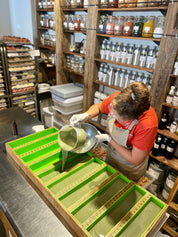 Scotch Pine | Mango Butter Soap