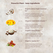 Organic Baby Lotion | Infused with Calendula Flowers