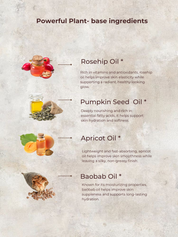 Orange Body Oil | Rich In Vitamins A, D, and E