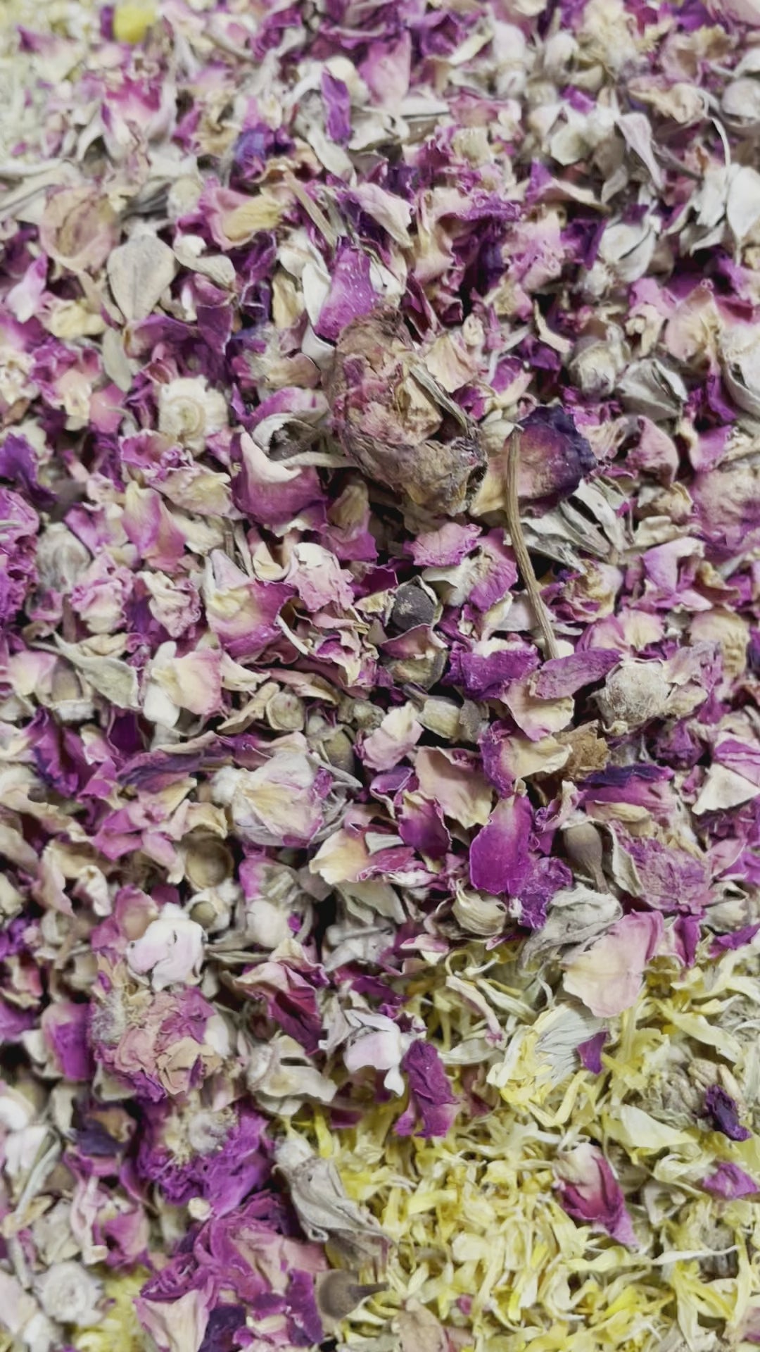 Baby Bath Tea | Made With Cocoa Butter and Herbs