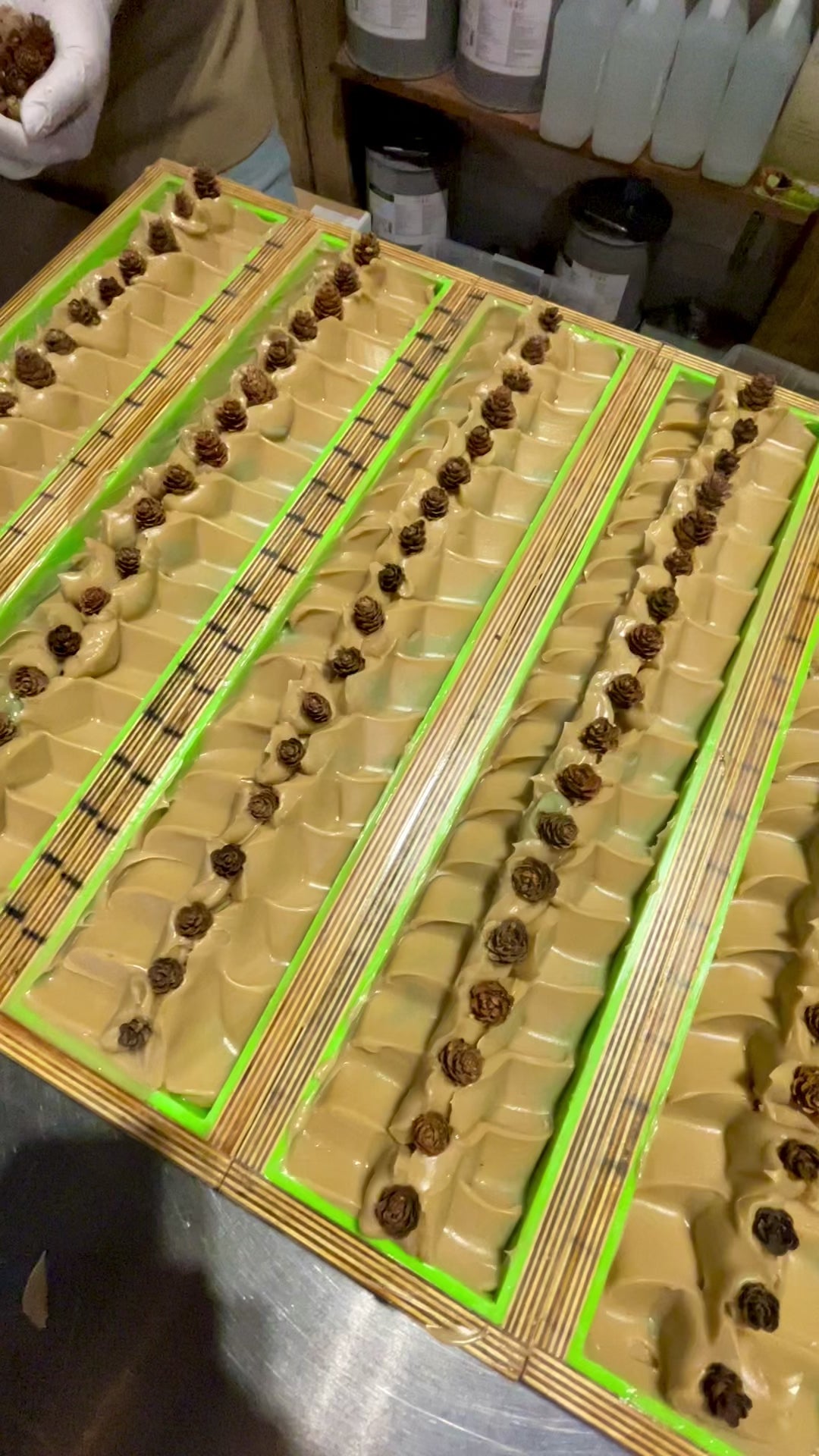 Scotch Pine | Mango Butter Soap