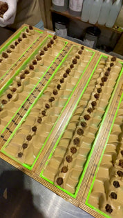 Scotch Pine | Mango Butter Soap