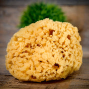 Natural Sea Sponges