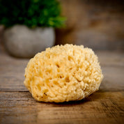 Natural Sea Sponges