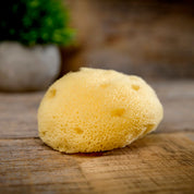 Natural Sea Sponges