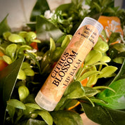 Lip Balm  - Citrus Blossom | Made with Cocoa and Mango Butter